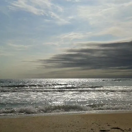 флора - гр.приморско ммц Apartment