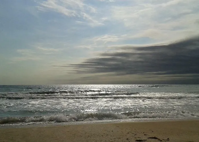 флора - гр.приморско ммц Apartment